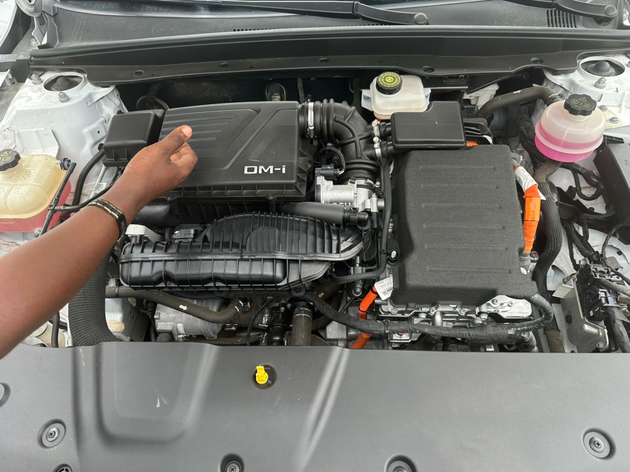 2024 BYD QIN PLUS - View 2